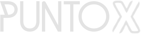 Punto X